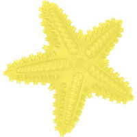 Produktbild von FIT+FUN Kauspielzeug Starfisch für Hunde aus TPR 16 x 15 cm