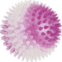 FIT+FUN Leuchtnoppenball für Hunde 9 cm – Bild 1 von 1