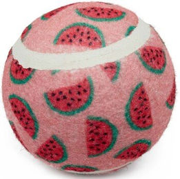 Fit + Fun Tennisball für Hunde – Bild 1 von 3