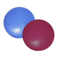 Produktbild von FitPAWS Balance Disc Razzleberry Lila 46 cm für Welpen aus Kunststoff