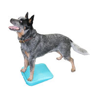 Produktbild von FitPAWS Balance Ramp Trainingsrampe für Welpen in Türkis