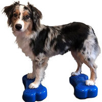 Produktbild von FitPAWS Bone Minis 2er Set Blau für Muskelaufbau