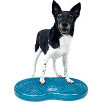 Produktbild von FitPaws Duo Disc Trainingsscheibe Türkis für Welpen zum Muskelaufbau