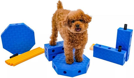 FitPAWS FitKinect Core Agility-Gerät aus Kunststoff für Welpen zur Muskelaufbau in Blau – Bild 1 von 4