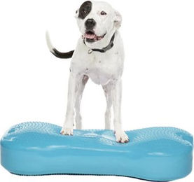 FitPAWS K9FITbone Giant Trainingsgerät für Hunde zur Unterstützung des Muskelaufbaus Blau 35,5 cm – Bild 1 von 2