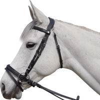 Produktbild von Flags&Cup Aachen Reittrense aus Leder in Schwarz