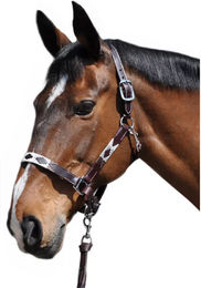 Produktbild von Flags&Cup Chukka Leder Halfter und Stricke in Beige und Braun