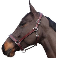 Produktbild von Flags&Cup Comfort Halfter aus Leder in Braun Full