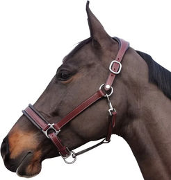 Produktbild von Flags&Cup Comfort Leder Halfter für Pony in Braun