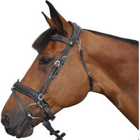 Produktbild von Flags&Cup Comfort Vorderzeug für Ponys in Schwarz mit Edelstahl