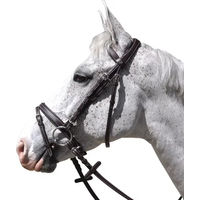 Produktbild von Flags&Cup Göteborg Zaumzeug für Ponys aus Edelstahl in Braun oder Schwarz