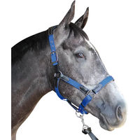 Produktbild von Flags&Cup Halfter aus Nylon und Leder für Ponys in Schwarz und Blau