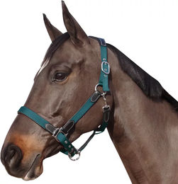 Produktbild von Flags&Cup Halfter aus Nylon und Leder in Schwarz