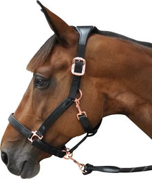 Produktbild von Flags&Cup Halfter aus Nylon und Leder in Schwarz