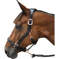 Produktbild von Flags&Cup Halfter aus Nylon und Leder in Schwarz
