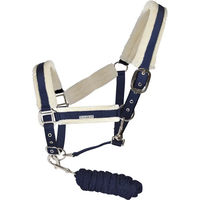 Produktbild von Flags&Cup Halfter und Longiergurt Set aus Nylon für Ponys in Blau