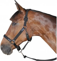 Produktbild von Flags&Cup Halfter und Stricke aus Nylon in Schwarz