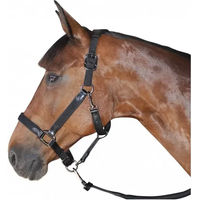 Produktbild von Flags&Cup Halfter und Stricke aus Nylon in Schwarz