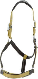 Produktbild von Flags&Cup Halfter und Stricke aus Nylon und Leder für Ponys in Braun