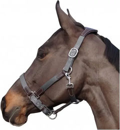 Produktbild von Flags&Cup Halfter und Stricke aus Nylon und Leder in Braun oder Grau