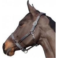 Produktbild von Flags&Cup Halfter und Stricke aus Nylon und Leder in Braun oder Grau