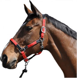 Produktbild von Flags&Cup Halfter und Stricke aus Nylon und Leder in Braun und Rot