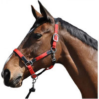 Produktbild von Flags&Cup Halfter und Stricke aus Nylon und Leder in Braun und Rot