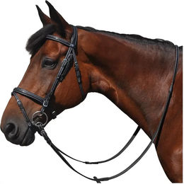 Produktbild von Flags&Cup Helsinki Leder Zaumzeug für Ponys in Braun oder Schwarz