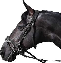 Produktbild von Flags&Cup Hickstead Zaumzeug für Vollblut in Schwarz mit Edelstahl