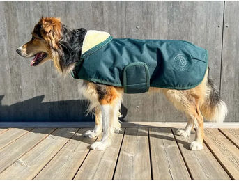 Produktbild von Flags&Cup Jamsa Wasserdichter Fleece-Wintermantel für Hunde in Grün Größe S