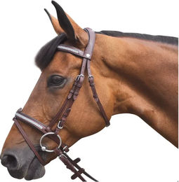 Produktbild von Flags&Cup Kitsi Reit-Zubehör Set für Ponys aus Edelstahl in Braun