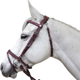 Produktbild von Flags&Cup Lanaken Reittrense für Ponys aus Edelstahl in Schwarz
