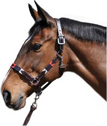 Produktbild von Flags&Cup Leder Halfter und Stricke Chukka Beige Bunt