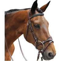 Produktbild von Flags&Cup Leder Trense mit Gebiss für Ponys in Blau Schwarz oder Braun