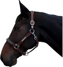 Produktbild von Flags&Cup Lederhalfter für Pferde Pony Braun