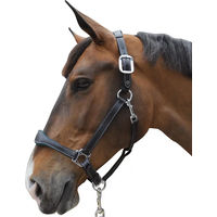 Produktbild von Flags&Cup Lederhalfter Pony Schwarz