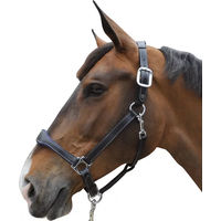 Produktbild von Flags&Cup Lederhalfter Pony Schwarz