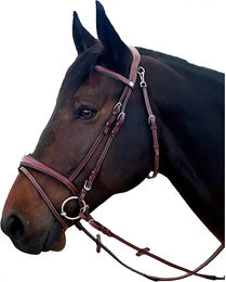 Flags&Cup New York Reittrense aus Leder für Ponys in Braun – Bild 1 von 1