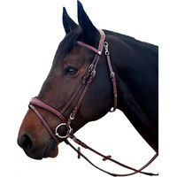 Produktbild von Flags&Cup New York Reittrense aus Leder für Ponys in Braun