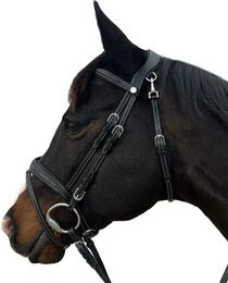 Produktbild von Flags&Cup New York Reittrense aus Leder in Schwarz für Pferde