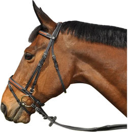 Produktbild von Flags&Cup Oslo Leder Zaumzeug für Ponys in Braun oder Schwarz