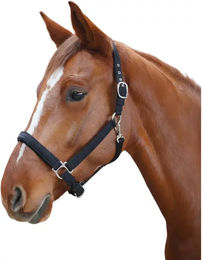 Flags&Cup Pony Halfter Laguna Schwarz – Bild 1 von 1
