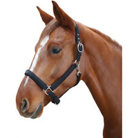 Produktbild von Flags&Cup Pony Halfter Laguna Schwarz