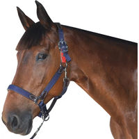 Produktbild von Flags&Cup Sicherheitshalfter aus Nylon in Rot und Blau