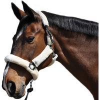 Produktbild von Flags&Cup Tragehalfter für Ponys aus Nylon in Schwarz und Weiß