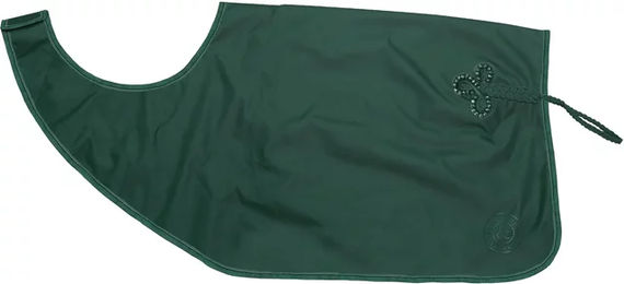 Produktbild von Flags&Cup Wasserdichte Nierenabdeckung und Fleece-Pferdedecke für Ponys in Grün