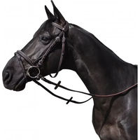 Produktbild von Flags&Cup Zaumzeug Wellington für Ponys aus Edelstahl in Braun oder Schwarz