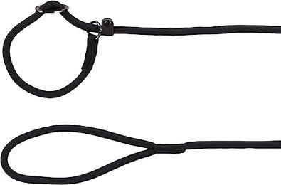 Produktbild von Flamingo Aiden Anti-Zug-Leine für Hunde Schwarz 170cm - 170 cm