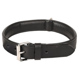 Flamingo Arizona Hundehalsband aus Leder schwarz 45-55 cm 32 mm – Bild 1 von 1