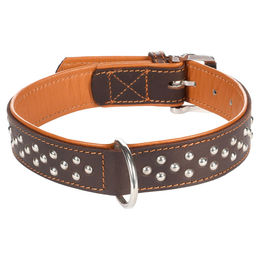 Flamingo Atlanta Lederhalsband für Hunde Braun mit Nieten 30-38 cm – Bild 1 von 2